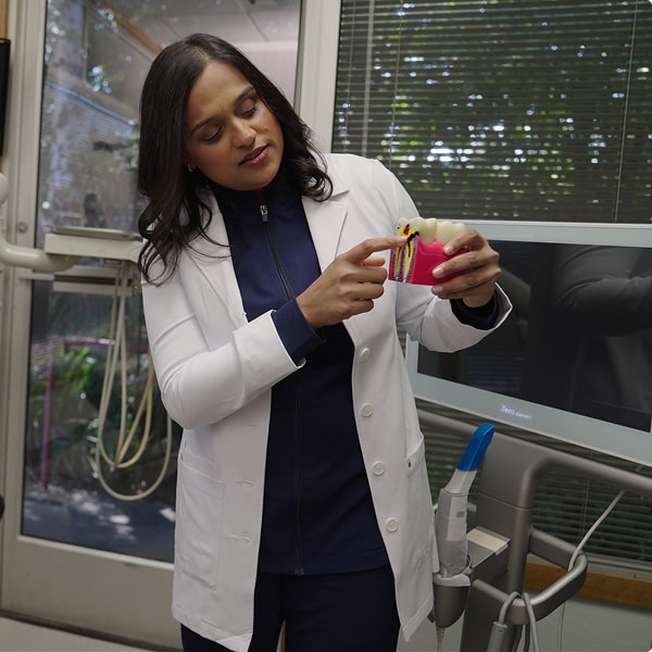 Dentist is showcasing dental model and smiling at Vallejo Family Dentistry